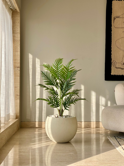 Artificial Palmara Plant - 3 Feet