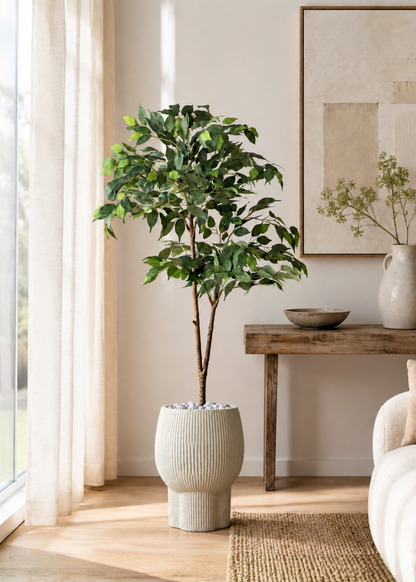 Artificial Ficus Aura Plant - 5 Feet