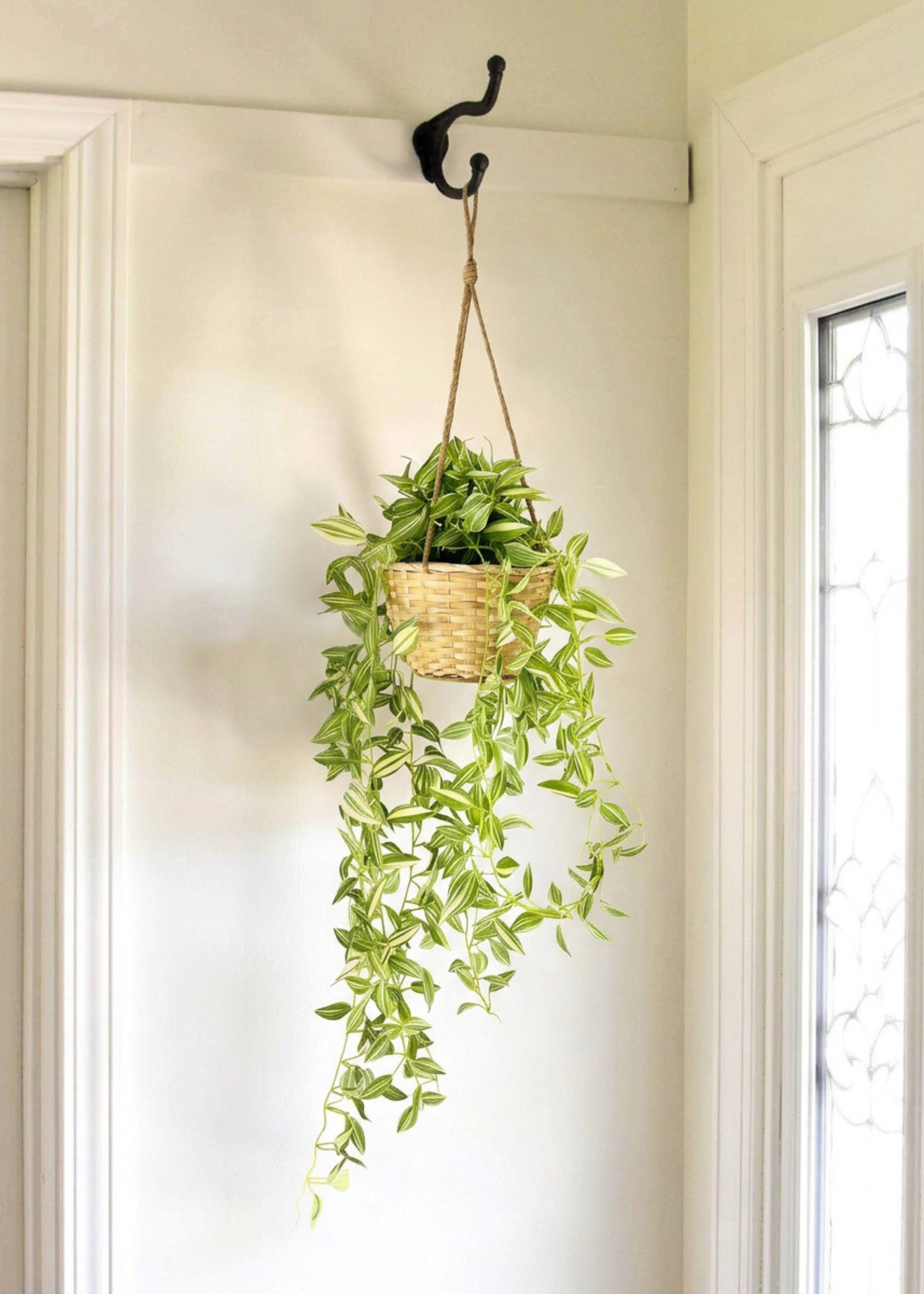 Artficial Wandering Jew Hanging Plant