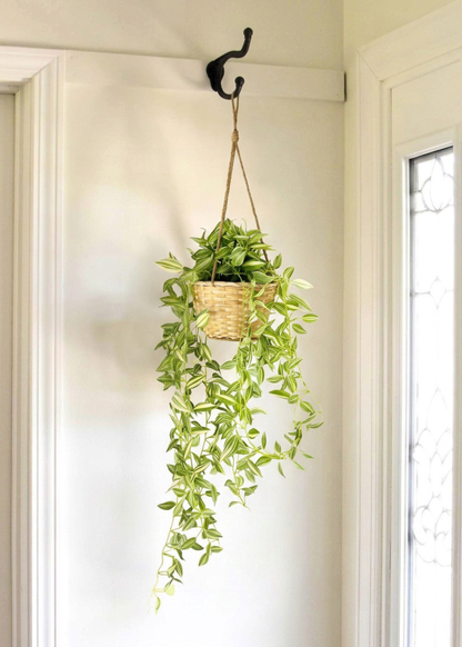 Artficial Wandering Jew Hanging Plant