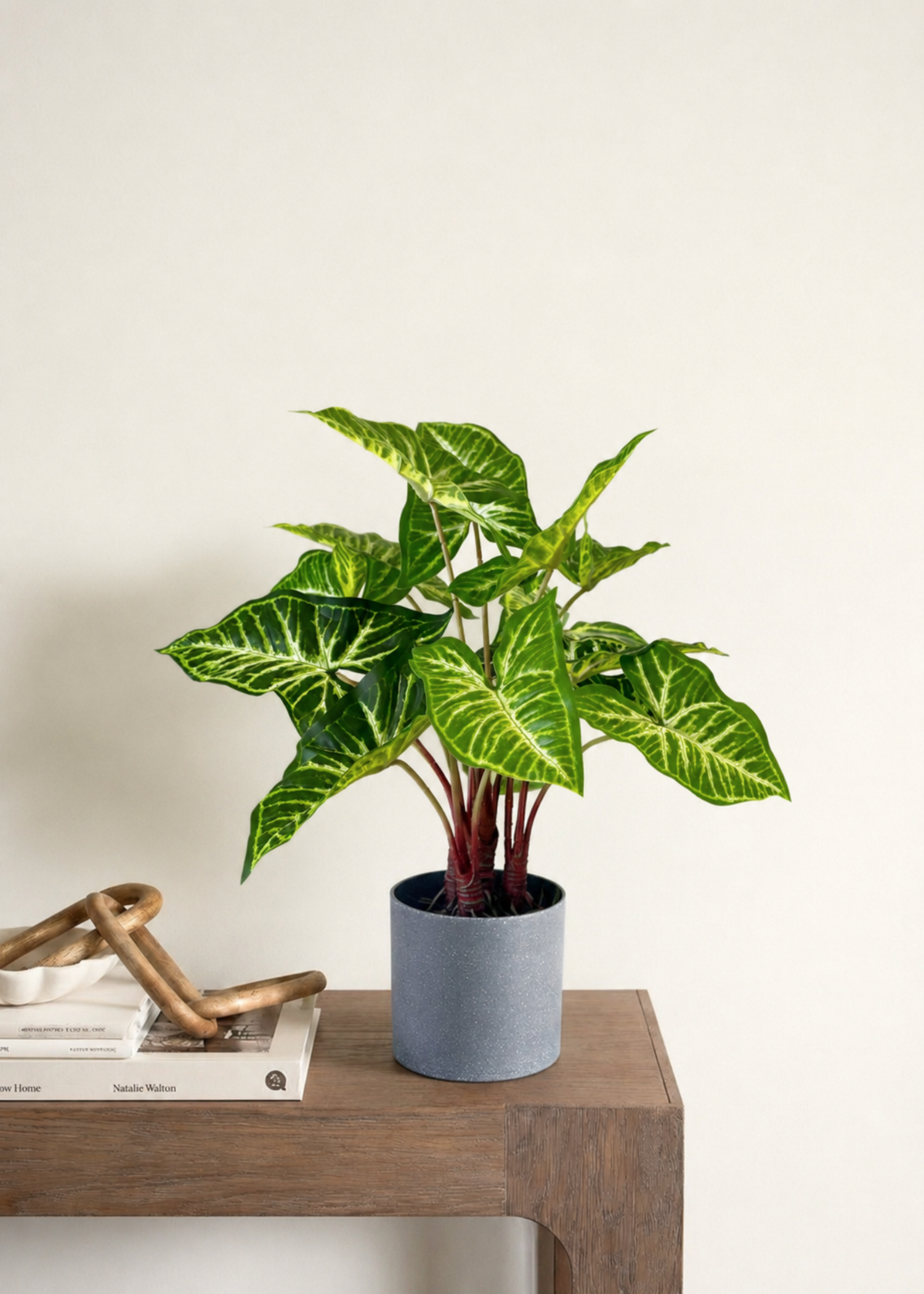 Artificial Varigated Pothos Plant - 1.5 Feet