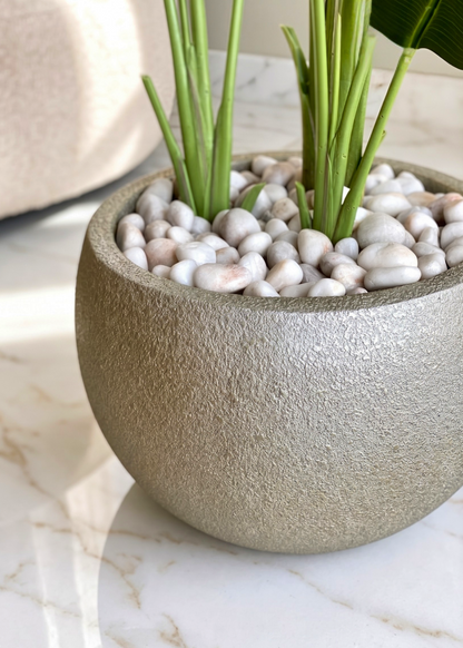 Pebbles – White Polished Stones
