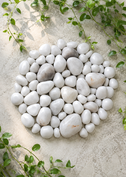 Pebbles – White Polished Stones
