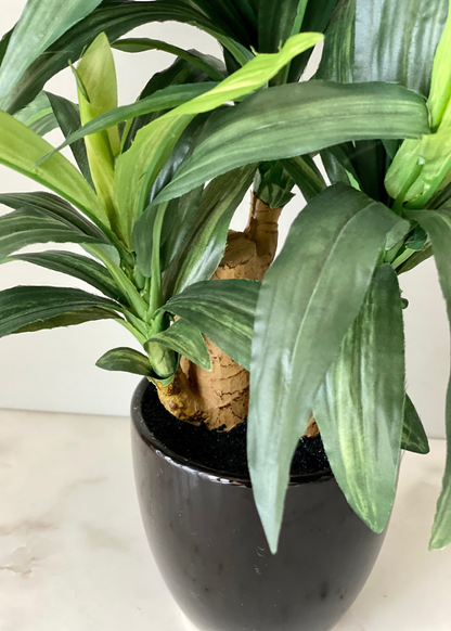 Artificial Dracaena Bonsai Plant - 1 Feet