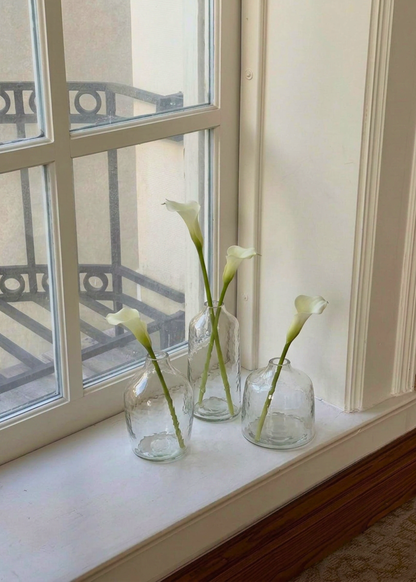 Elma Glass Vase - Transparent (Set of 3)