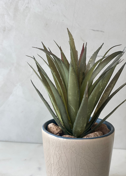 Artificial Succulent Agave Plant