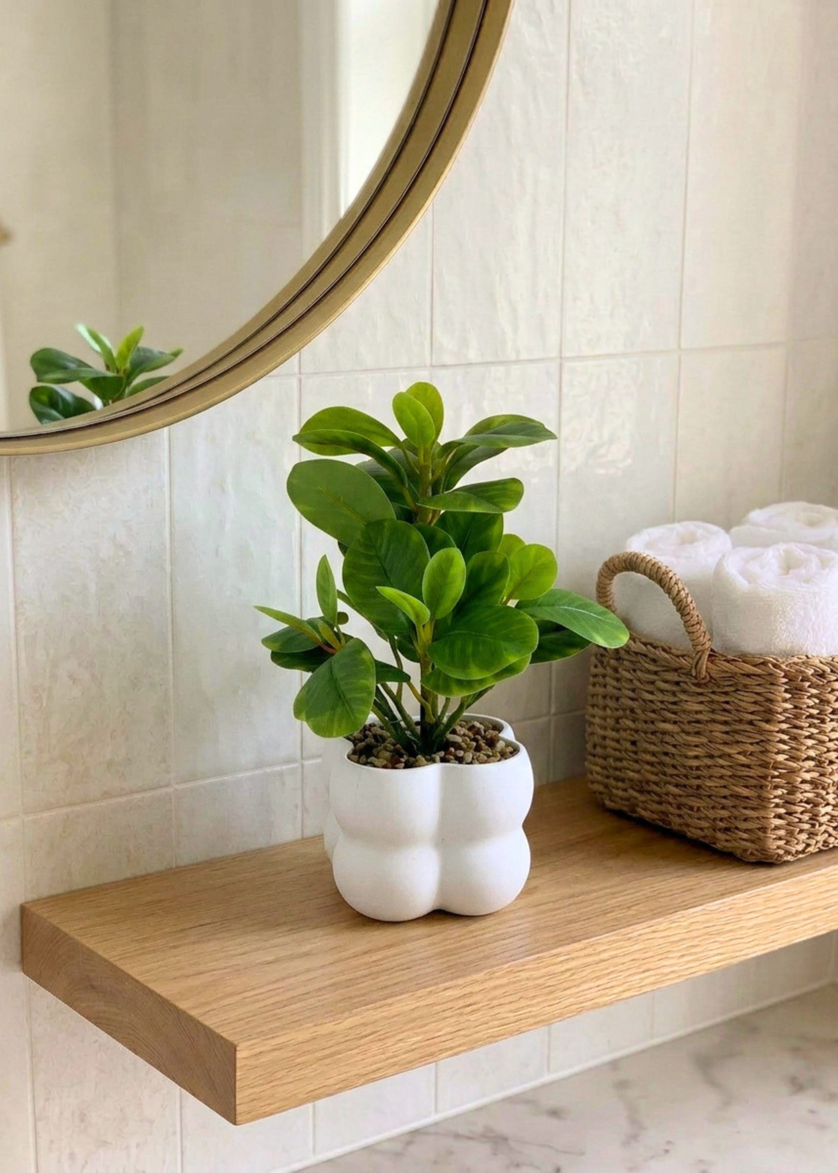 Artificial Peperomia Plant