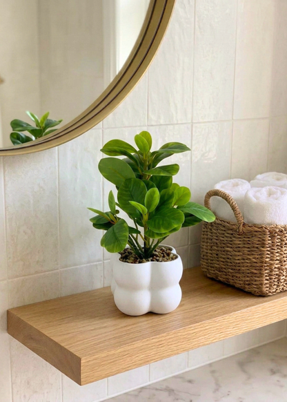Artificial Peperomia Plant