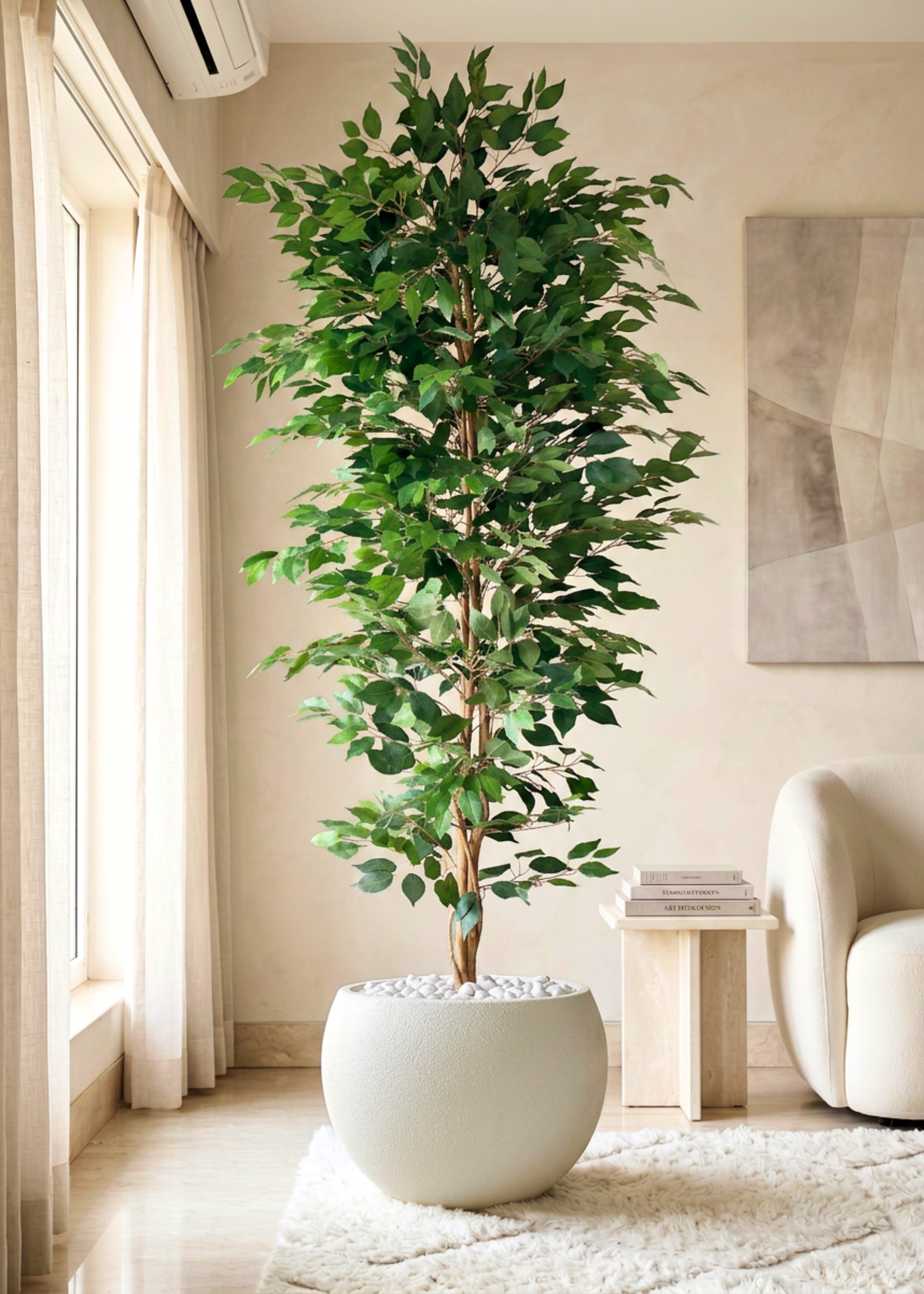Artificial Weeping Ficus Plant - 7 Feet