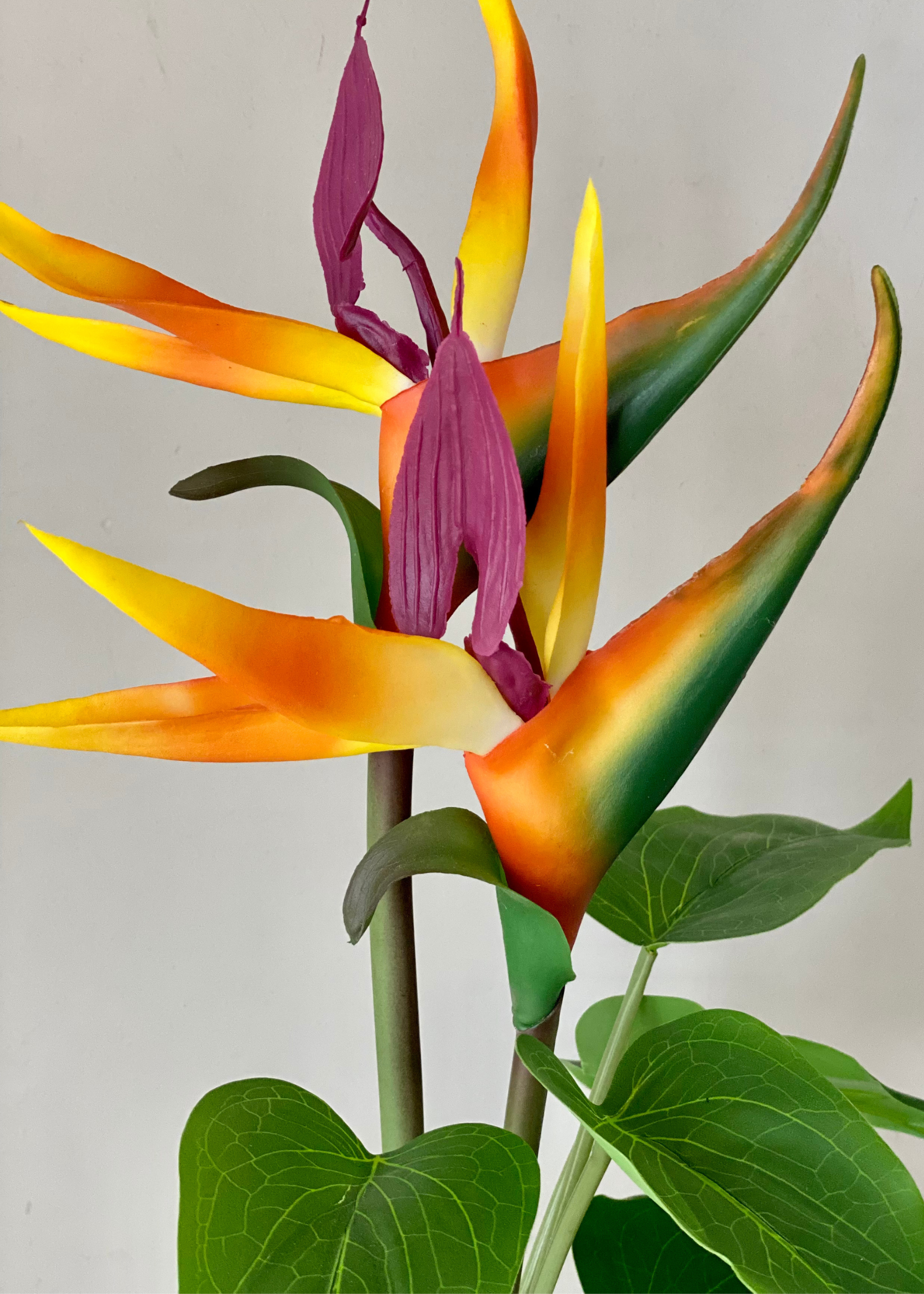 Artificial Strelitzia Paradise Plant - 1.4 Feet