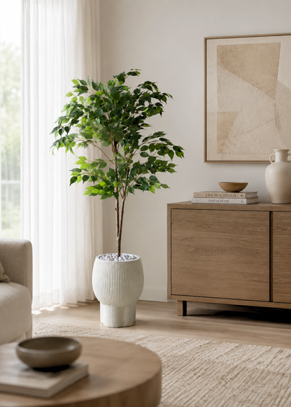 Artificial Ficus Aura Plant - 5 Feet