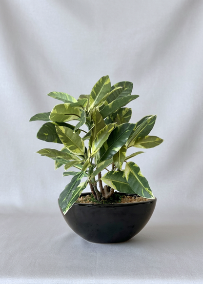 Artificial White Quercus Plant - 1 Feet