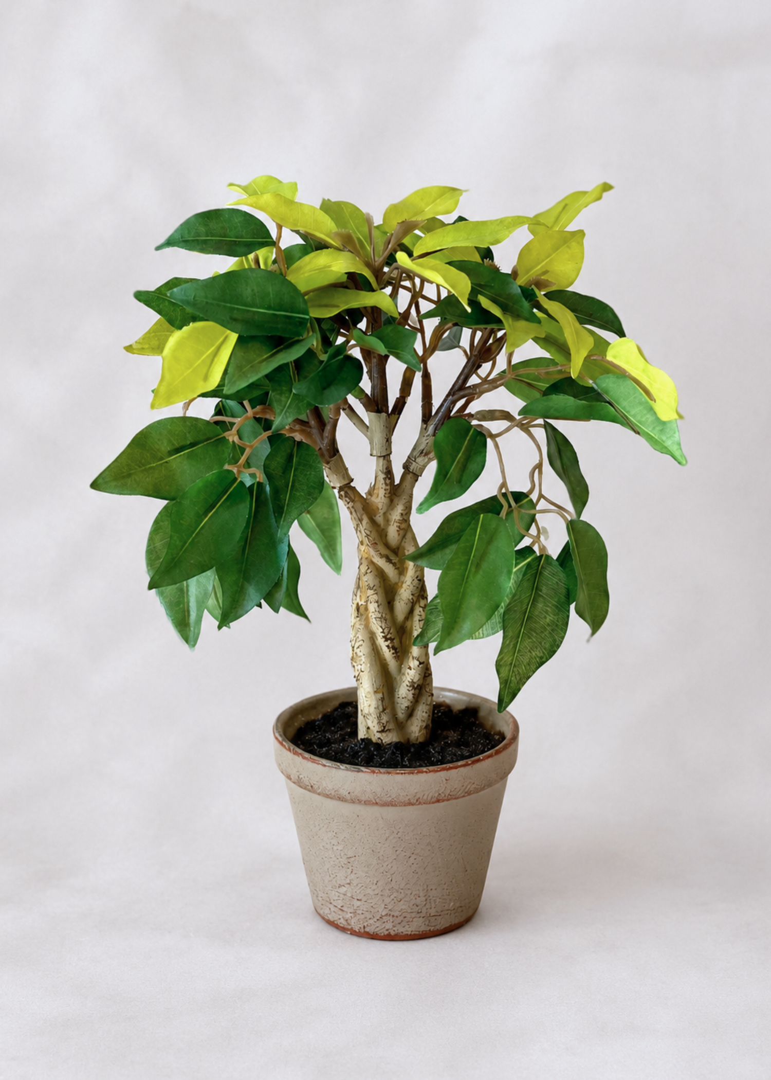 Artificial Croton Bonsai Plant – 1.3 Feet
