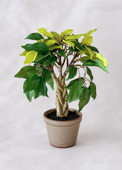 Artificial Croton Bonsai Plant – 1.3 Feet