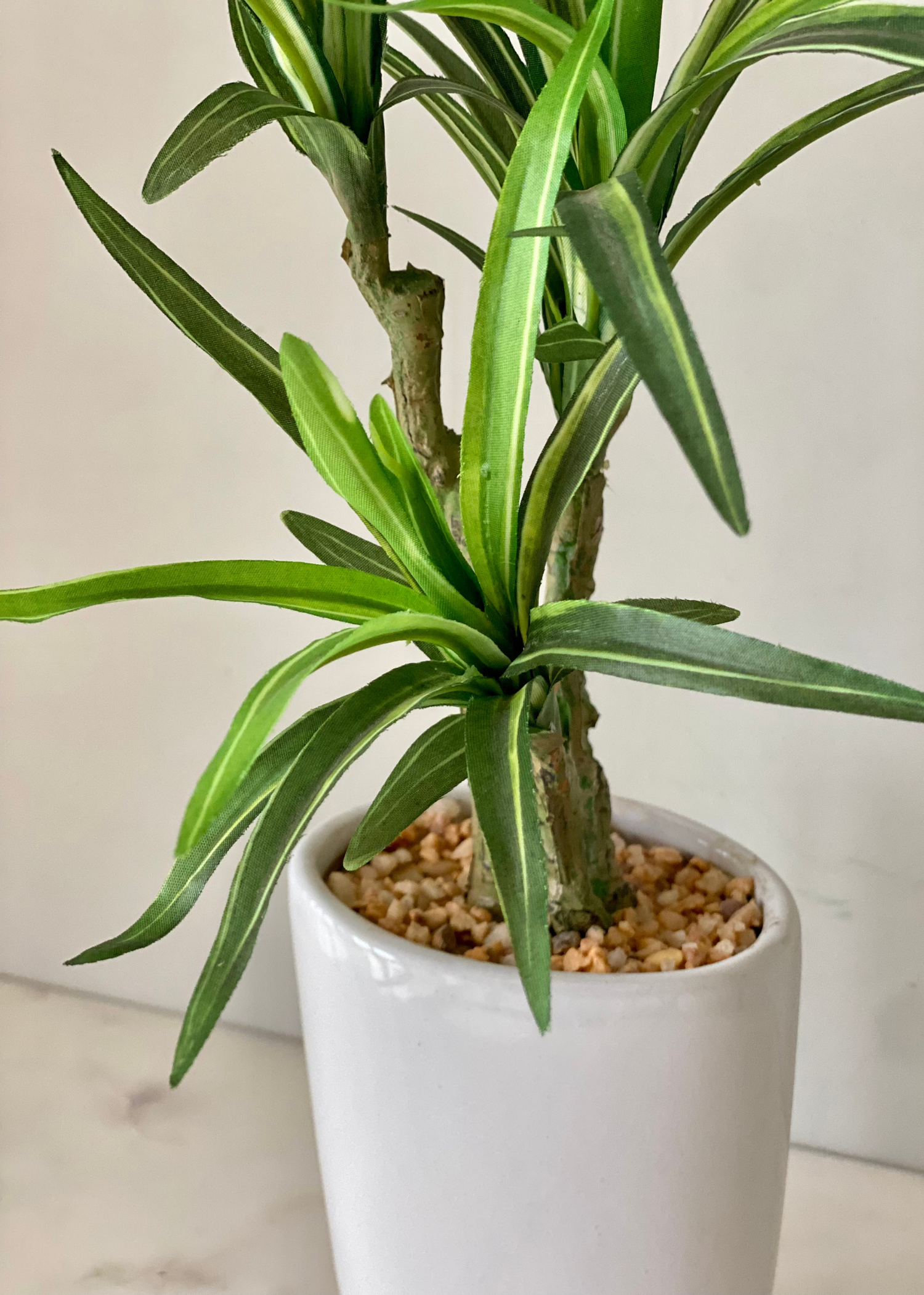 Artificial Dracaena Marginata Plant - 1.2 Feet
