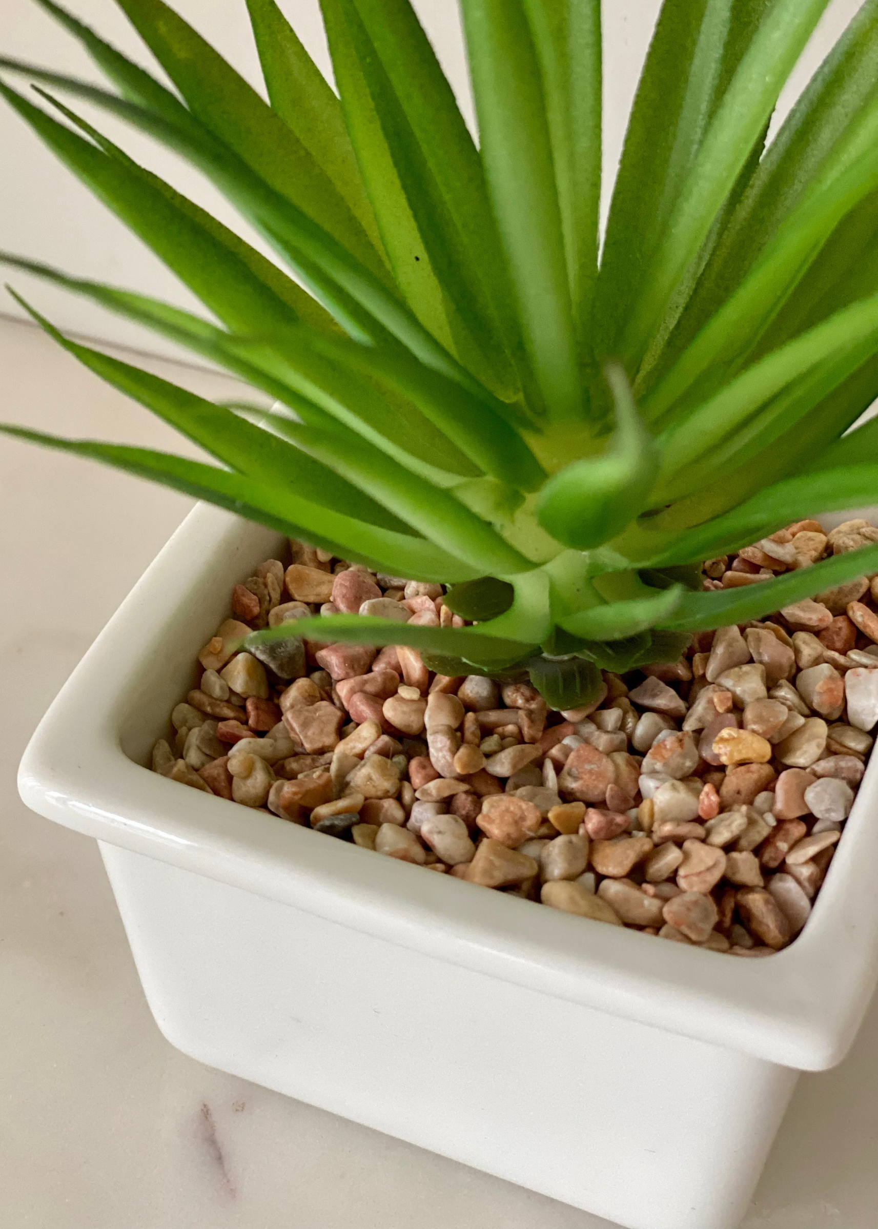 Artificial Haworthia Tabletop Plant