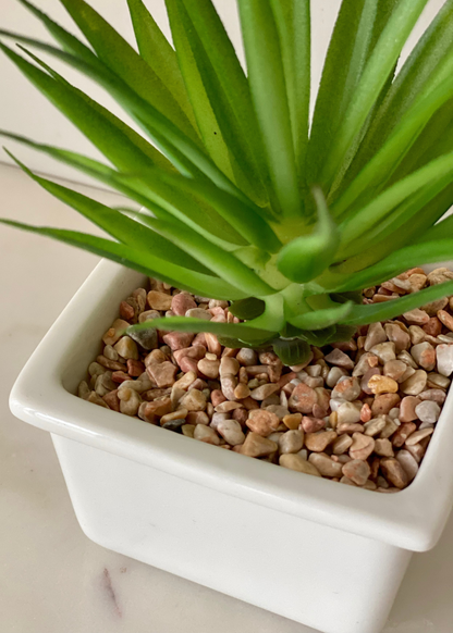 Artificial Haworthia Tabletop Plant