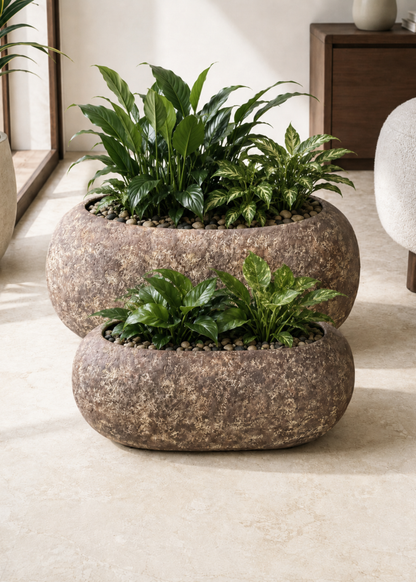 Fossil Basin Planters - Aged Brown