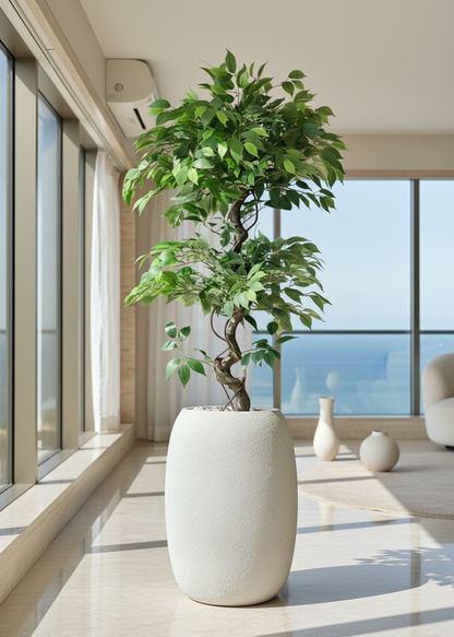 Artificial Banyan Plant - 5 Feet