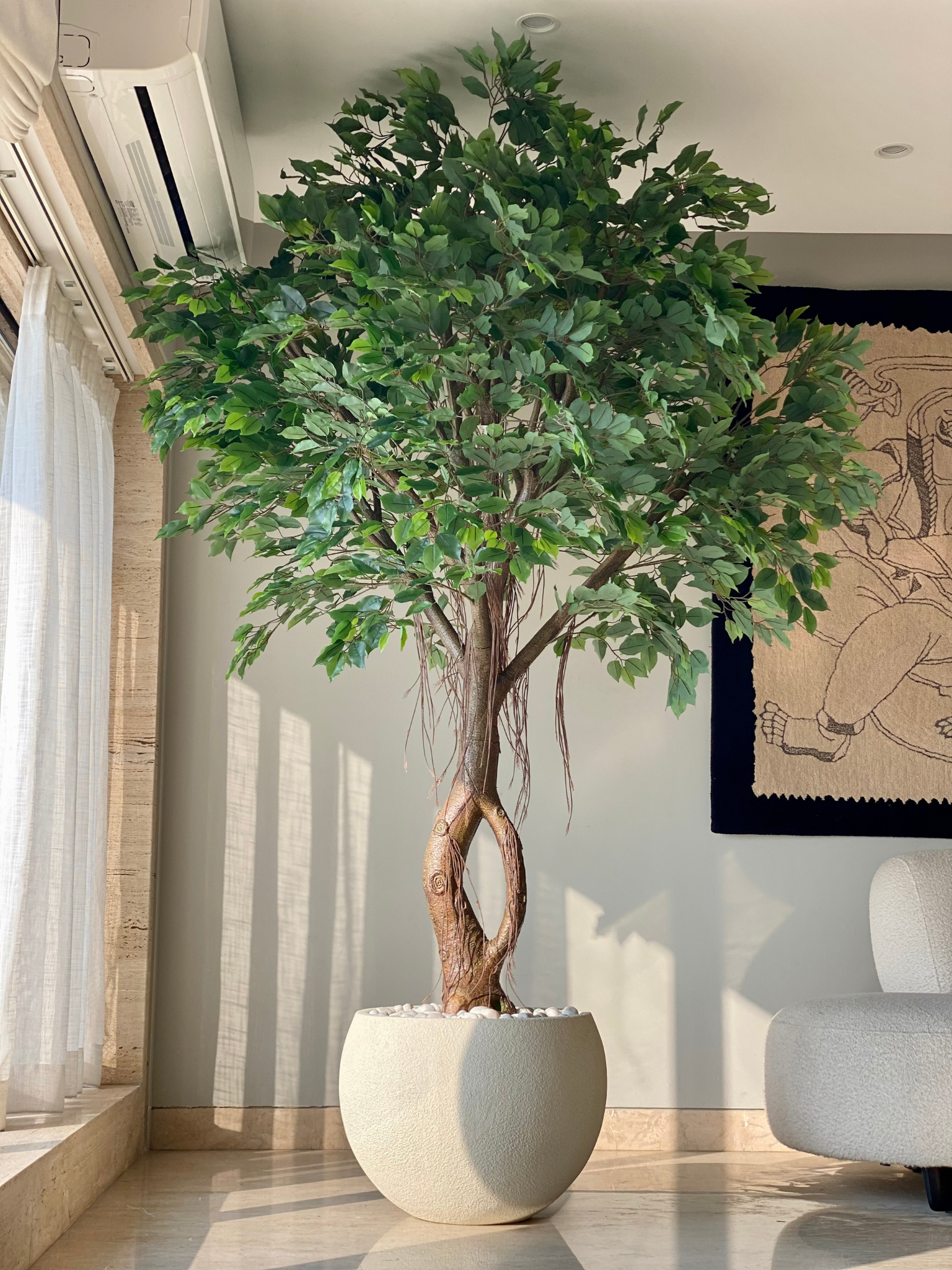 Artificial Grandiose Ficus Plant - 8 Feet