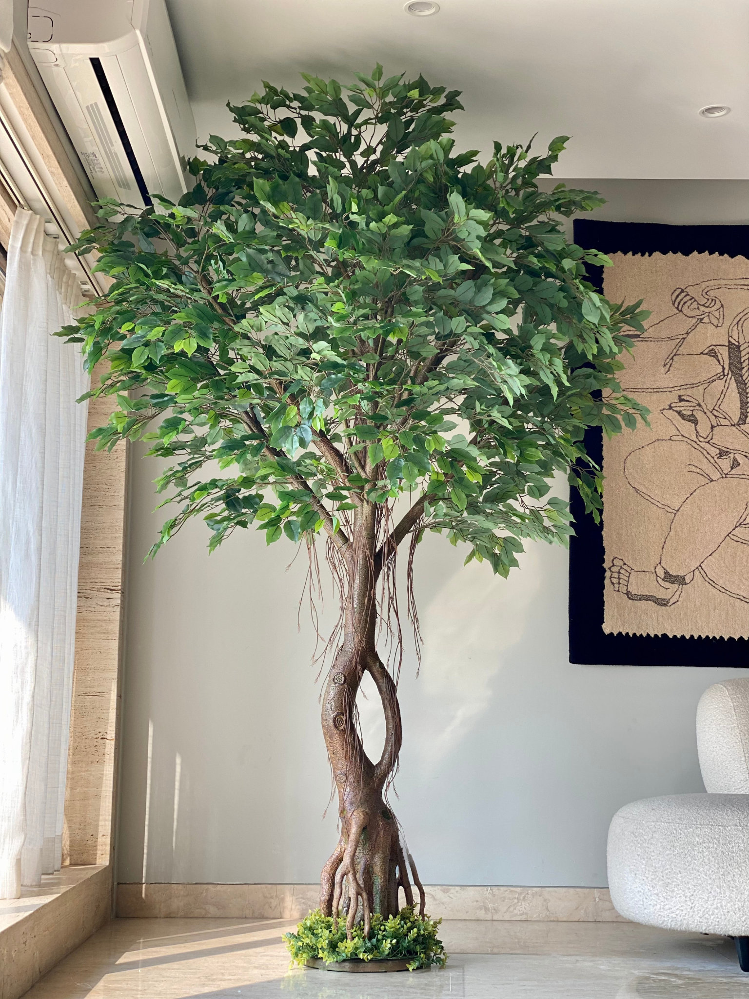 Artificial Grandiose Ficus Plant - 8 Feet