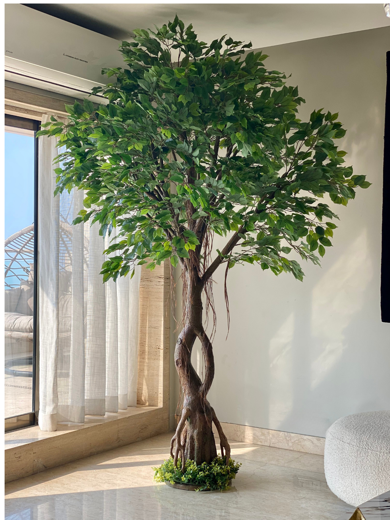 Artificial Grandiose Ficus Plant - 8 Feet