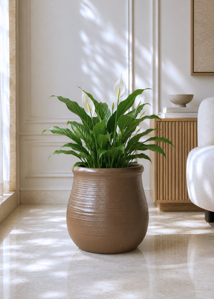 Garden Muse Planters - Brown