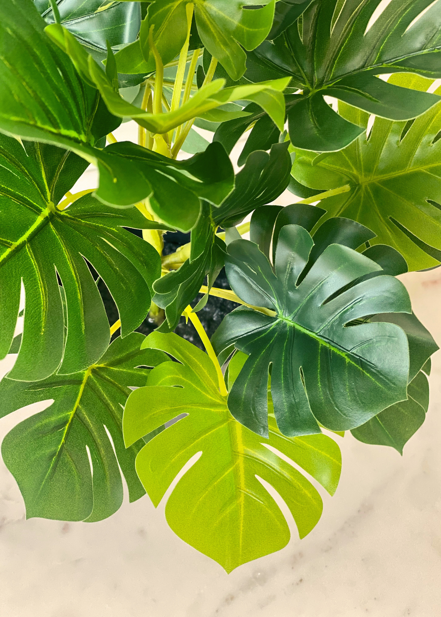 Artificial Bachia Monstera Plant - 1 Feet