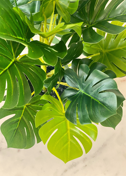 Artificial Bachia Monstera Plant - 1 Feet