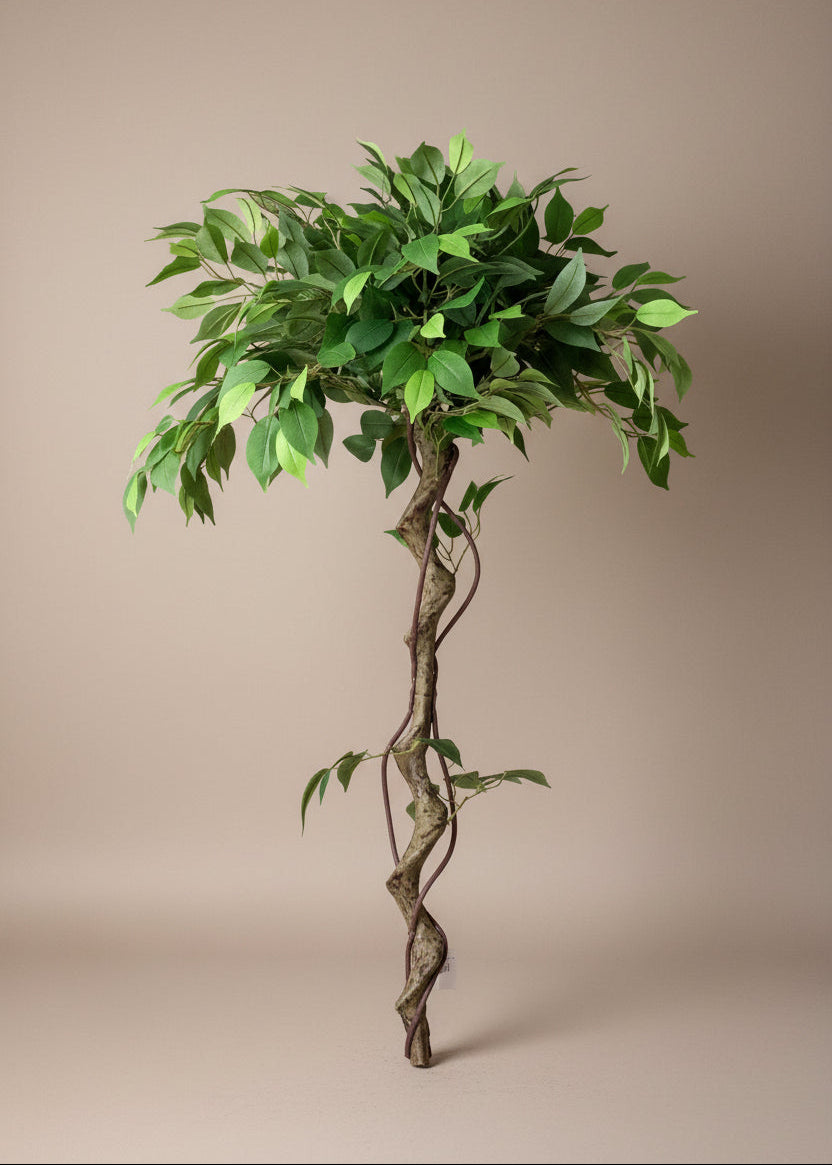 Artificial Banyan Plant - 4 Feet