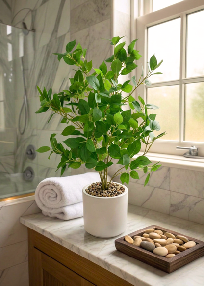 Artificial Ficus Plant- 2 Feet
