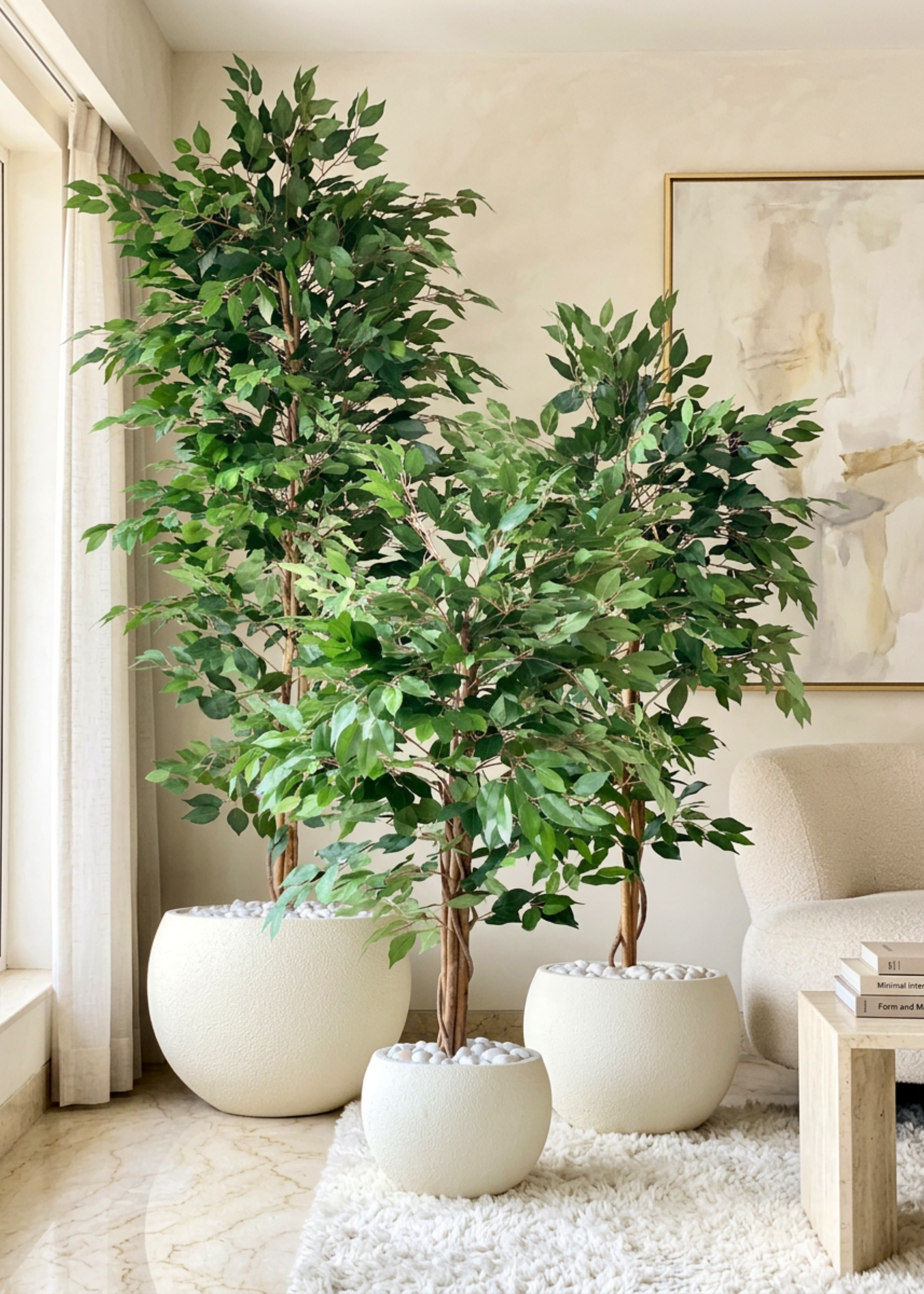 Artificial Weeping Ficus Plant - 7 Feet