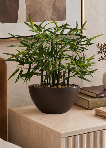 Artificial Rhipsalis Plant