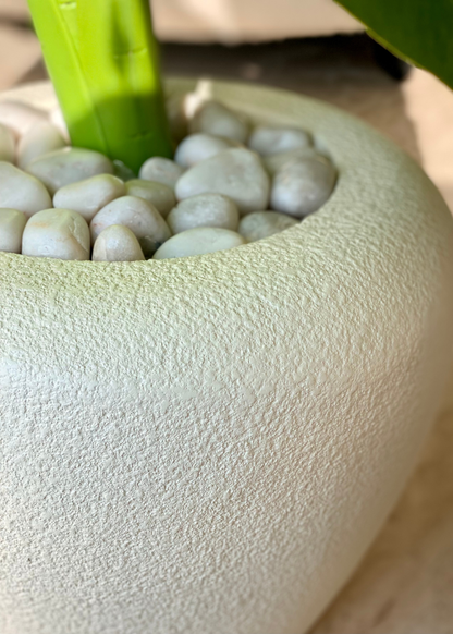 Duch Ivory Planter