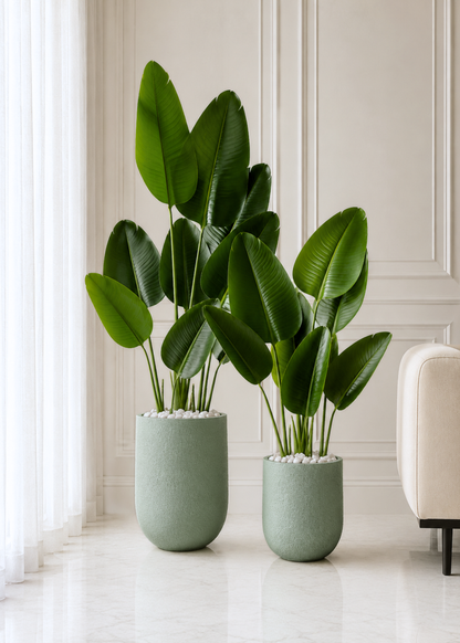 Lassa Planters - Sea Green