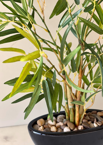 Artificial Bamboo Bonsai Plant - 1.2 Feet