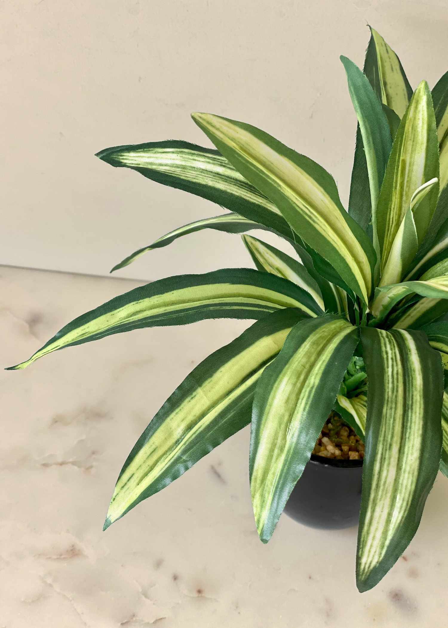 Artificial Variegated Dracaena Plant
