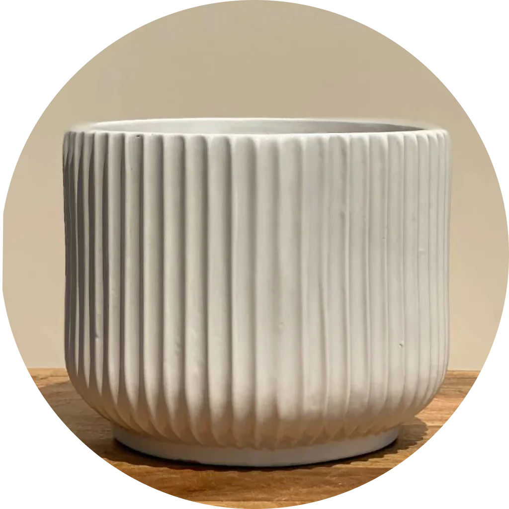 Better Homes & Gardens Pottery 12 Fischer Round Ceramic Planter, White 