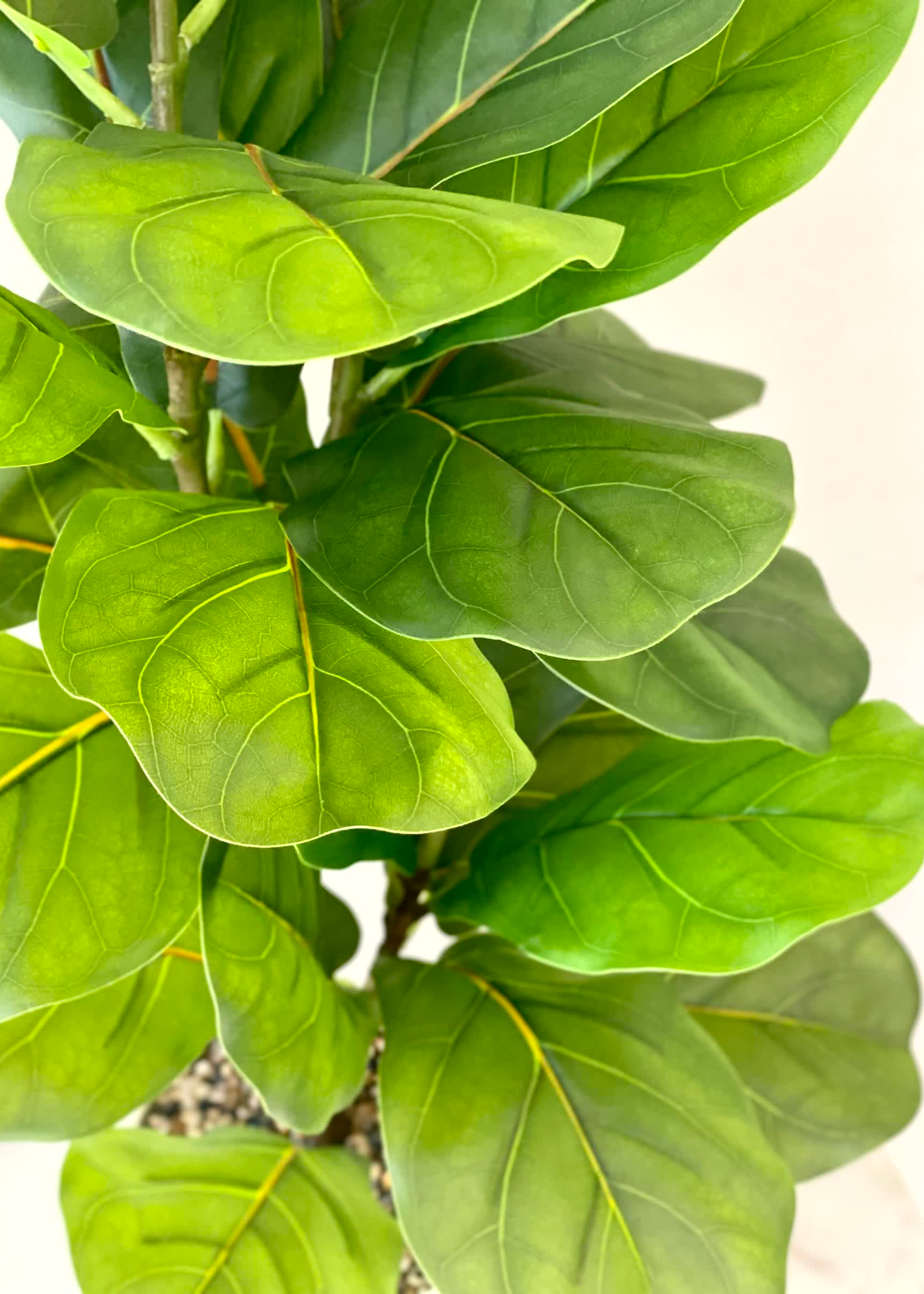 Artfiicial Fiddle Leaf Plant - 2.4 Feet