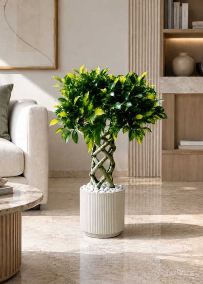 Linear Planters - White