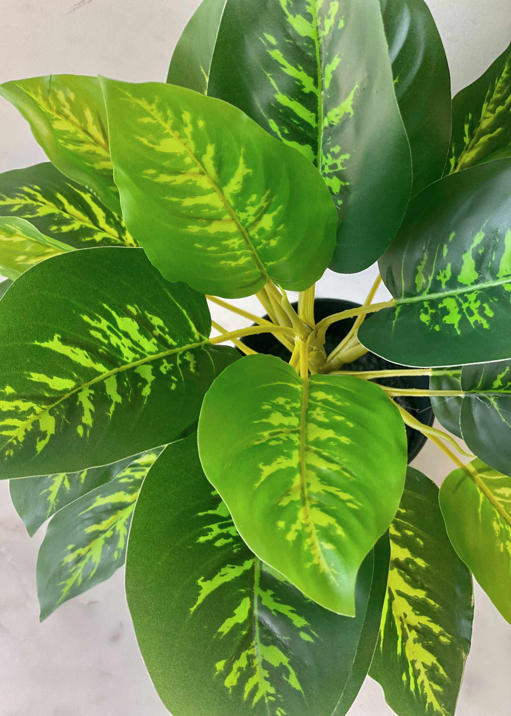 Artificial Golden Pothos Plant - 1 Feet
