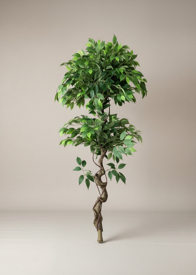 Artificial Banyan Plant - 5 Feet