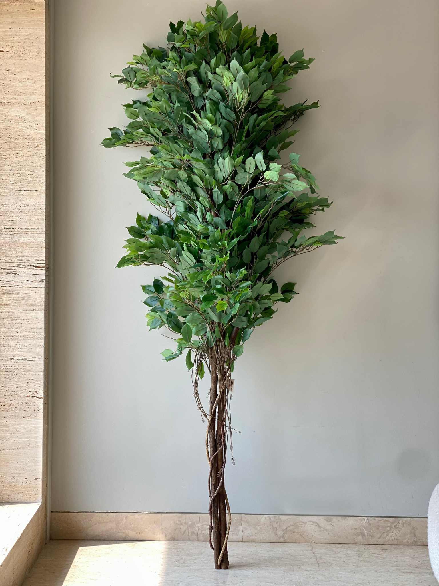 Artificial Aerial Root Ficus Plant - 6.5 Feet