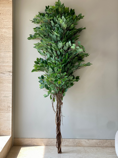 Artificial Aerial Root Ficus Plant - 6.5 Feet