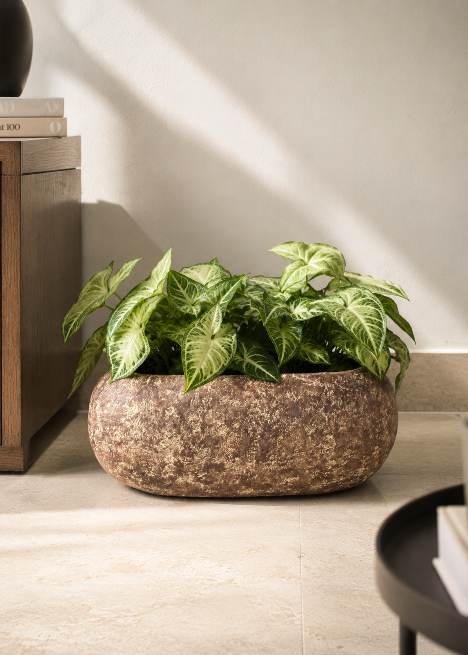 Fossil Basin Planters - Aged Brown