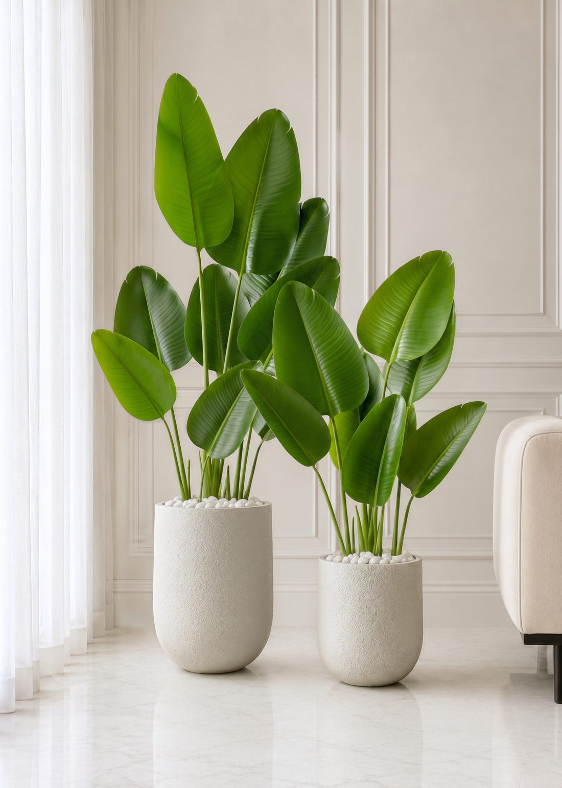 Lassa Planters - Chalk White