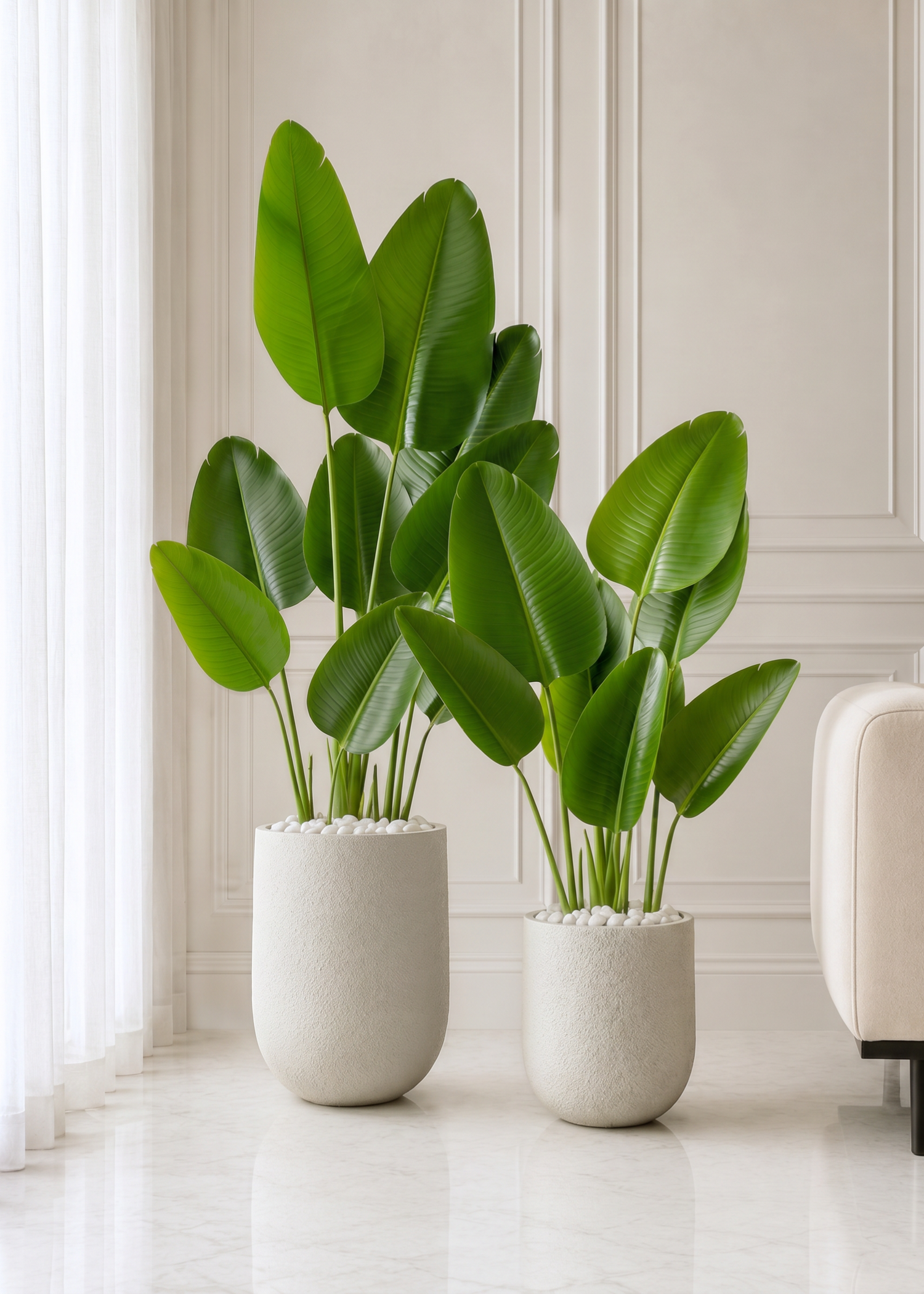 Lassa Planters - Chalk White