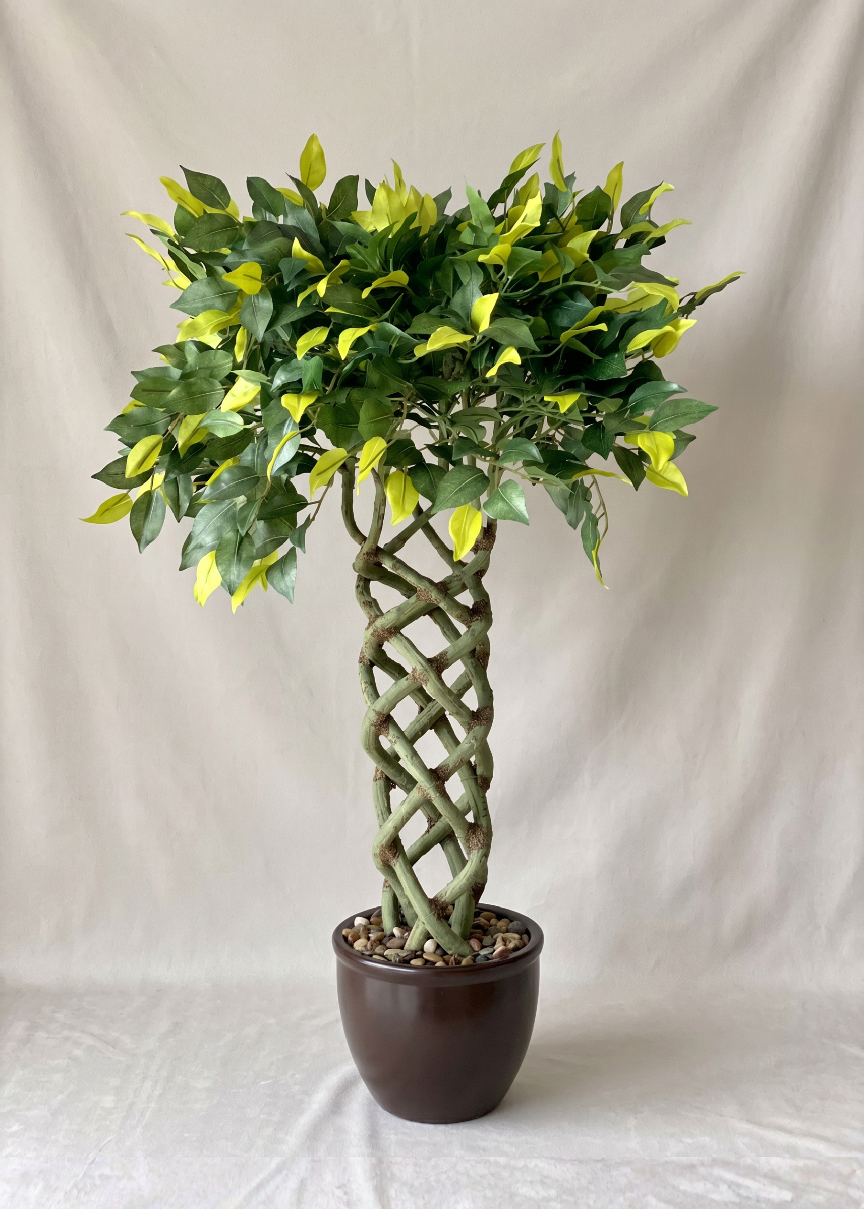 Artificial Braided Ficus Topiary Plant - 2.3 Feet