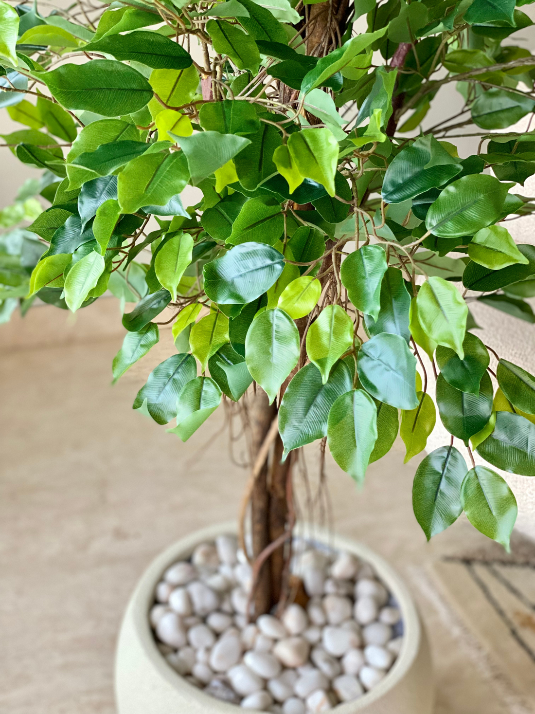 Artificial Aerial Root Ficus Plant - 6.5 Feet