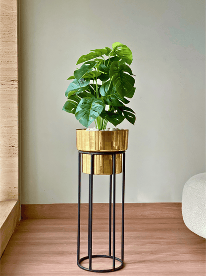 Artificial Botanic Monstera Plant- 2 Feet
